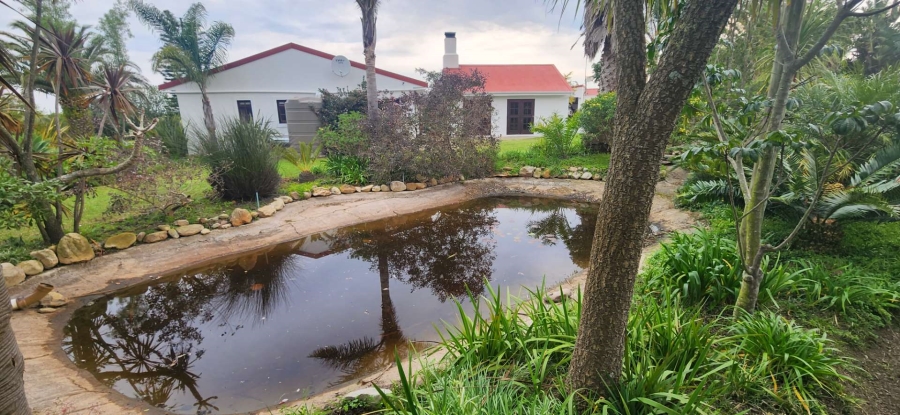 6 Bedroom Property for Sale in George Rural Western Cape